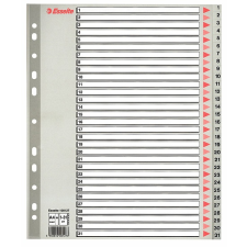 ESSELTE regiszter A4 műanyag 31 részes Maxi 1-31-ig 100127 regiszter és tartozékai