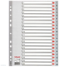 ESSELTE Regiszter ESSELTE A/4 1-20 műanyag naptár, kalendárium
