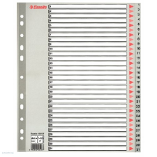 ESSELTE Regiszter ESSELTE A/4 1-31 műanyag MAXI naptár, kalendárium