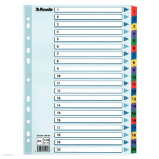 ESSELTE Regiszter ESSELTE A/4 karton 1-20 reg. Mylar 100163 naptár, kalendárium