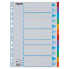 ESSELTE Regiszter, karton, A4, 12 részes, írható előlappal, ESSELTE "Standard", színes regiszter és tartozékai