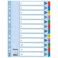 ESSELTE Regiszter, karton, A4, 1-12, ESSELTE Mylar regiszter és tartozékai