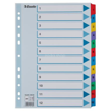 ESSELTE Regiszter, karton, A4, 1-12, ESSELTE "Mylar" regiszter és tartozékai
