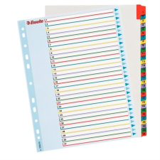 ESSELTE Regiszter, laminált karton, A4 Maxi, 1-31, újraírható, ESSELTE regiszter és tartozékai