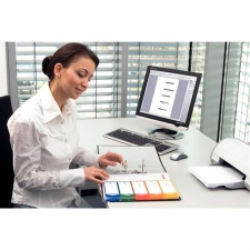 ESSELTE Regiszter, műanyag, A4 Maxi, 1-12, nyomtatható, ESSELTE, áttetsző regiszter és tartozékai