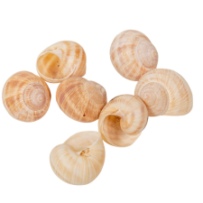  Éticsiga 0,5kg natúr dekorációs kellék