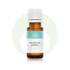 Eucalyptus radiata illóolaj - 10ml - Panarom illóolaj