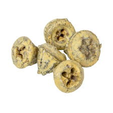  Eukalyptus gomb viaszos krém 15dkg/csom dekorációs kellék