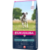 Eukanuba EEukanuba Adult Large Salmon &amp; Barley (2 x 12 kg) 24kg