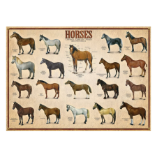 Eurographics 6000-0078 - Horses - 1000 db-os Lovak puzzle puzzle, kirakós