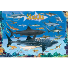  Eurographics cápa puzzle 100 darabbal puzzle, kirakós