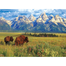 Eurographics kirakó - Grand Teton Nemzeti Park 1000 darabos puzzle, kirakós