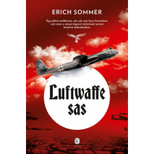 Európa Könyvkiadó Erich Sommer - Luftwaffe sas történelem