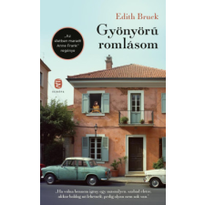 Európa Könyvkiadó Gyönyörű romlásom regény