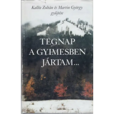 Európa Könyvkiadó Tegnap a Gyimesben jártam... (Gyimes-völgyi lírai dalok) antikvárium - használt könyv