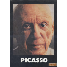Európa Picasso (1981) antikvárium - használt könyv