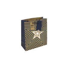 Eurowrap Ltd. Eurowrap ajándéktasak (21,5x25x10 cm) kraft, kék, csillagos (5) ajándéktasak