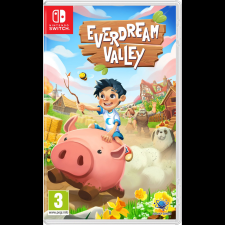  Everdream Valley - Nintentdo Switch (PC - Dobozos játék) videójáték
