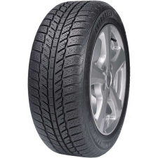 Evergreen EW62 91T TL 195/65 R15 91T Téli gumi téli gumiabroncs