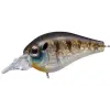 Evergreen PICCOLO DIVE SHALLOW 4cm 6.4gr #246 CHILD GILL