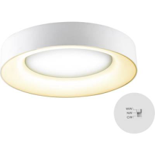 EVN R40250125 EVN Lichttechnik LED-es mennyezeti lámpa 25 W Fehér (R40250125) világítás