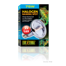 Exo Terra Halogen Basking Spot | Halogén melegítő izzó - 75 W hüllőfelszerelés