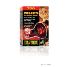 Exo Terra Infrared Basking Spot Lamp | Infravörös melegítő izzó - 75 W kisállatfelszerelés