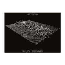 EXPENSIVE WOODLAND Joy Division - Unknown Radio Waves 1979-1980 (CD) rock / pop
