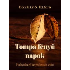 EZ-KÖNYV Tompa fényű napok egyéb e-könyv