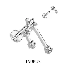  Ezüst Színű 316L Orvosi Acél Labret Piercing Bika Csillagjegy egyéb ékszer