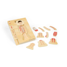 Fa puzzle anatómia - fiú puzzle, kirakós