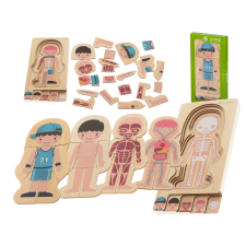 Fa puzzle montessori testrészek, fiú fajáték