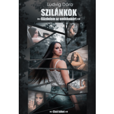 FairBooks Kiadó Ludvig Dóra - Szilánkok - Küzdelem az emlékekért - Első kötet regény