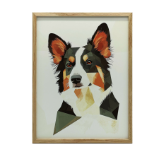  FAKERETES FALI PLAKÁT BORDER COLLIE ÁLLAT 70x100 CM grafika, keretezett kép