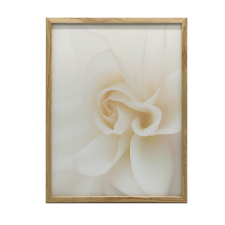 FAKERETES PLAKÁT FALRA, ETERIKUS RÓZSA FEHÉR 70x100 CM grafika, keretezett kép