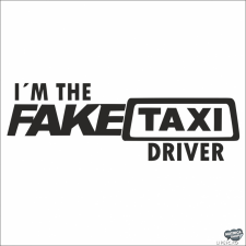  FakeTaxi Driver - Autómatrica matrica