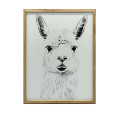 FALI PLAKÁT FINOM LAMA 70x100 CM TÖLGY KERETES MATT PAPÍRRA grafika, keretezett kép