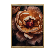  FALI PLAKÁT NARANCS PEONY 40x50 cm KERET NÉLKÜL, MATT grafika, keretezett kép