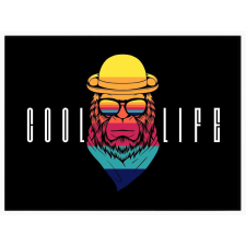  Falikép – Cool Life (videóvetítő opcióval) grafika, keretezett kép