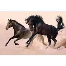  Falikép Két fekete ló, galopp, 350 x 250 cm grafika, keretezett kép