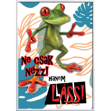  Falikép – Ne csak nézz, békás (videóvetítő opcióval) grafika, keretezett kép