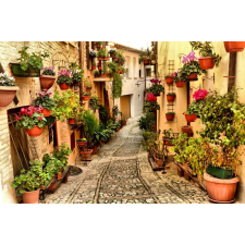  Falikép Street virágokkal Spellóban, Umbriában, 350 x 200 cm tapéta, díszléc és más dekoráció