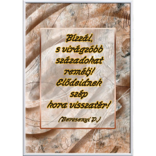  Falikép – Virágzóbb századokat (videóvetítő opcióval) grafika, keretezett kép