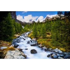  Falmatrica Rau kövekkel, 250 x 200 cm tapéta, díszléc és más dekoráció