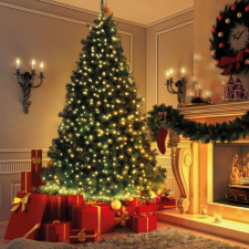 Family Fényfüzér - 50 db LED - melegfehér - hálózati - 5 m - 8 program karácsonyi dekoráció