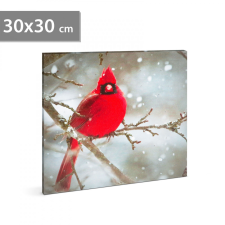 Family LED-es fali kép - vörös pinty - 30 x 30 cm 58478 karácsonyfa izzósor
