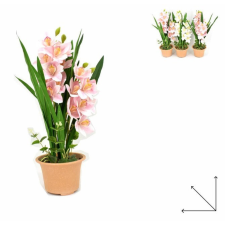 Family művirág cserepes csónakorchidea 3f. kerti tárolás
