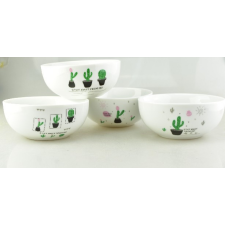  family müzlis tál fehér "kaktusz" vegyes minták party kellék