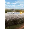 Farming Simulator 19 (Platinum Expansion) (digitális licenc)