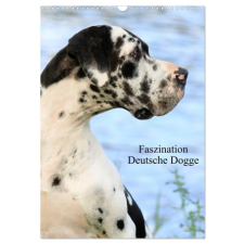 Faszination Deutsche Dogge (Wandkalender 2024 DIN A3 hoch), CALVENDO Monatskalender – Marion Reiß-Seibert naptár, kalendárium